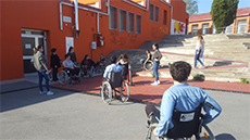 Taller de Discapacitat o capacitat diverses